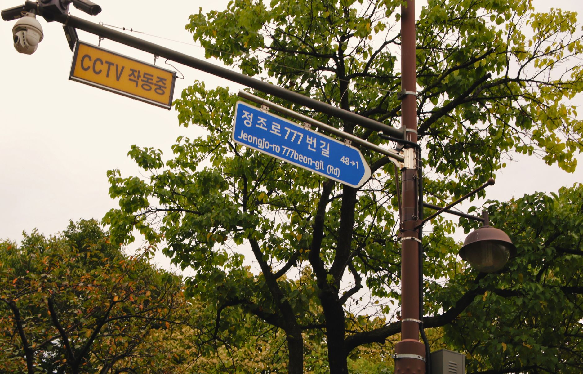 교통법규
